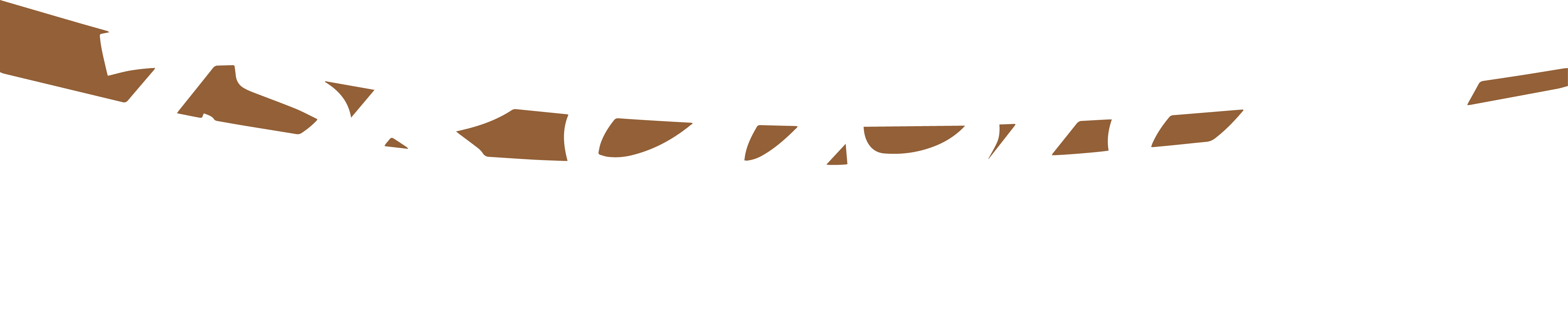 TSR Custom Transport
